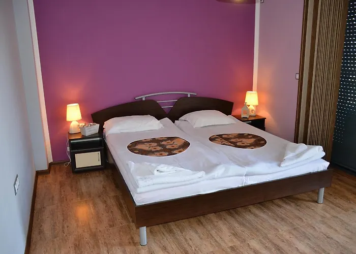 伊万诺维公寓 公寓 布尔加斯