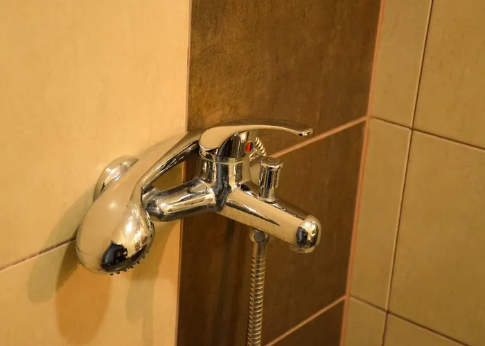 Ivanovi 아파트 부르가스